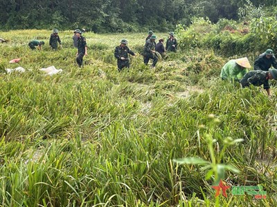 View - 	Sư đoàn 312, Quân đoàn 12 huy động gần 200 cán bộ, chiến sĩ giúp dân